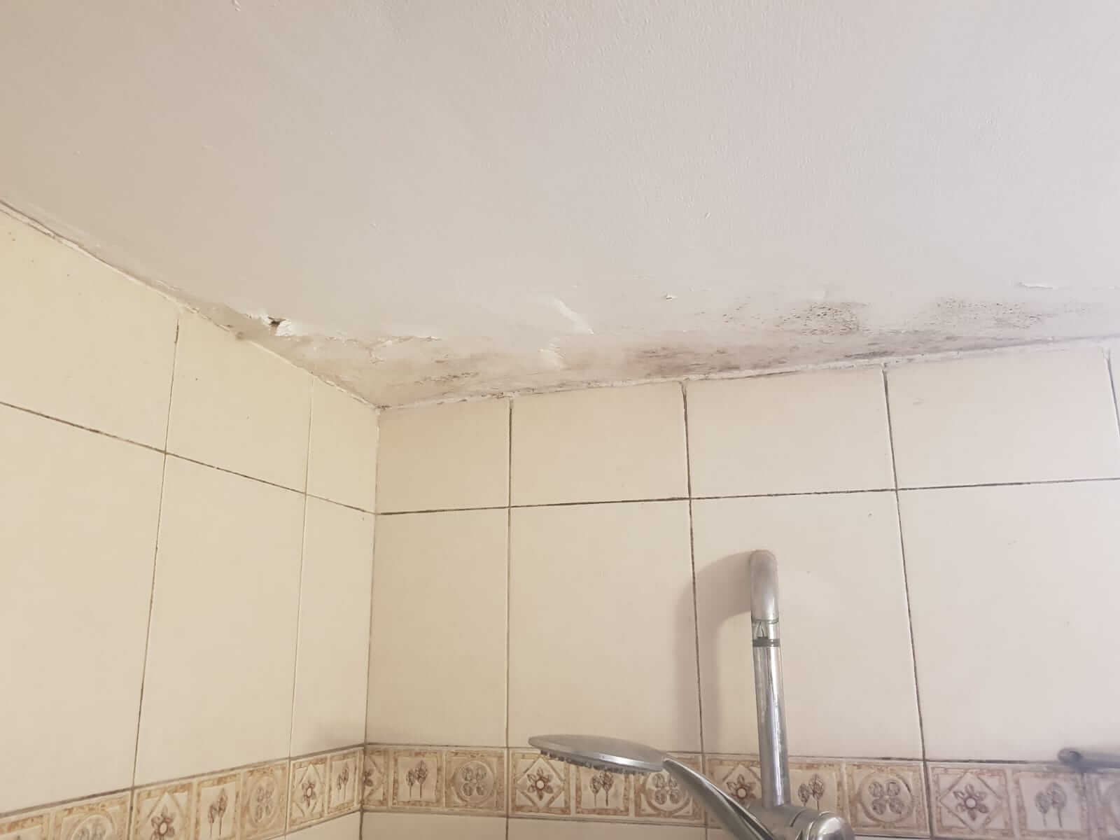 רטיבות בקיר